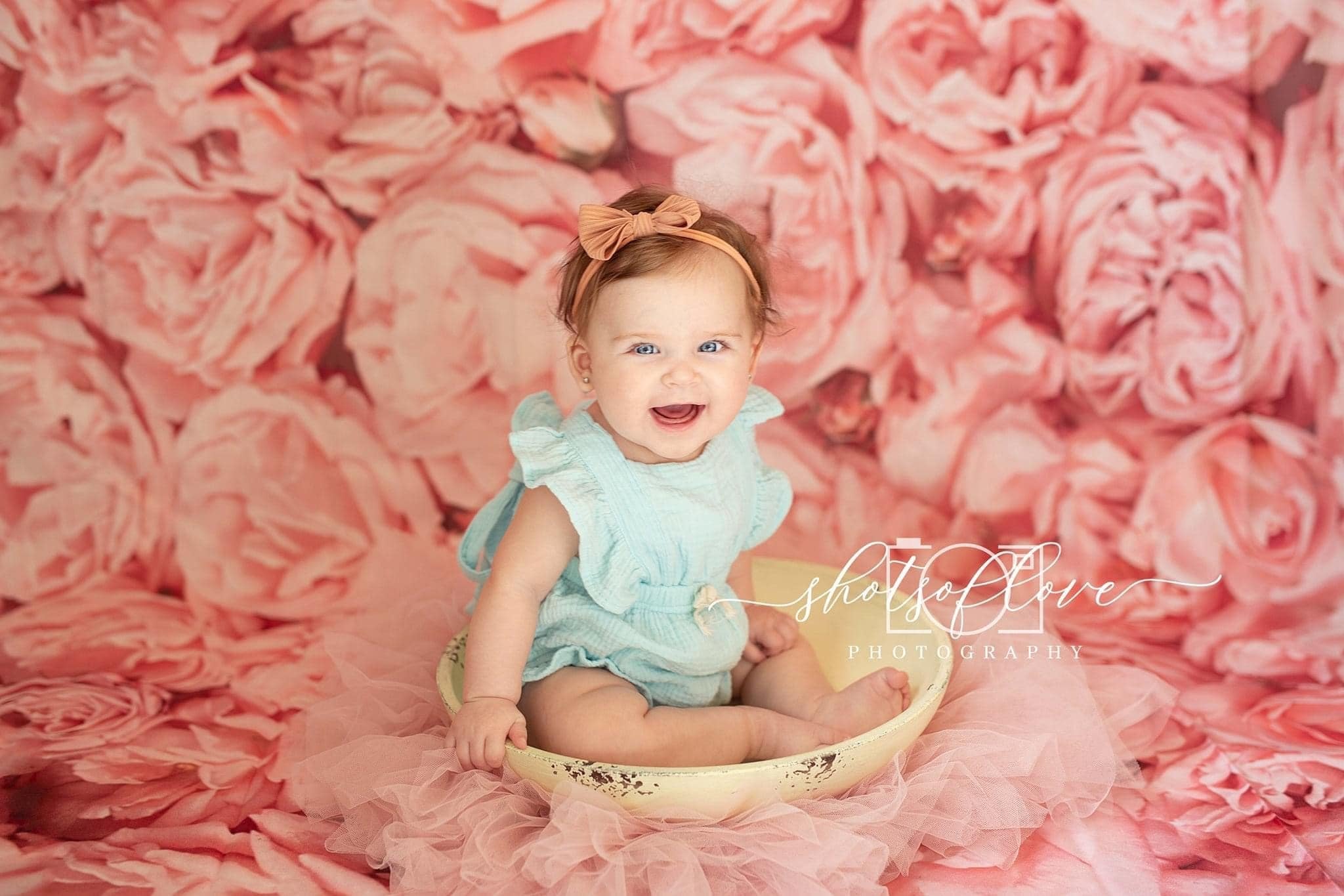 Kate Rose rose toile de fond fleur mariage photographie Studio accessoires - Kate Backdrop FR