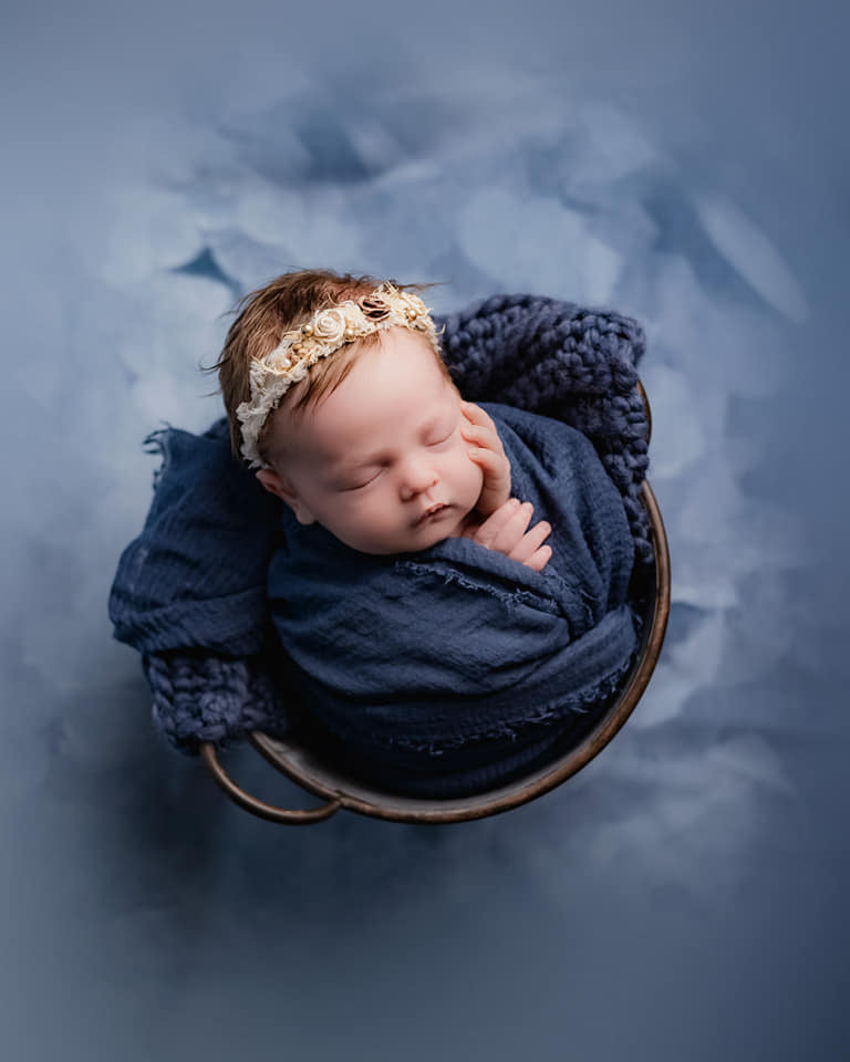 Kate Texture Fleurs bleues-grises Beaux-arts Toile de fond conçue par GQ - Kate Backdrop FR