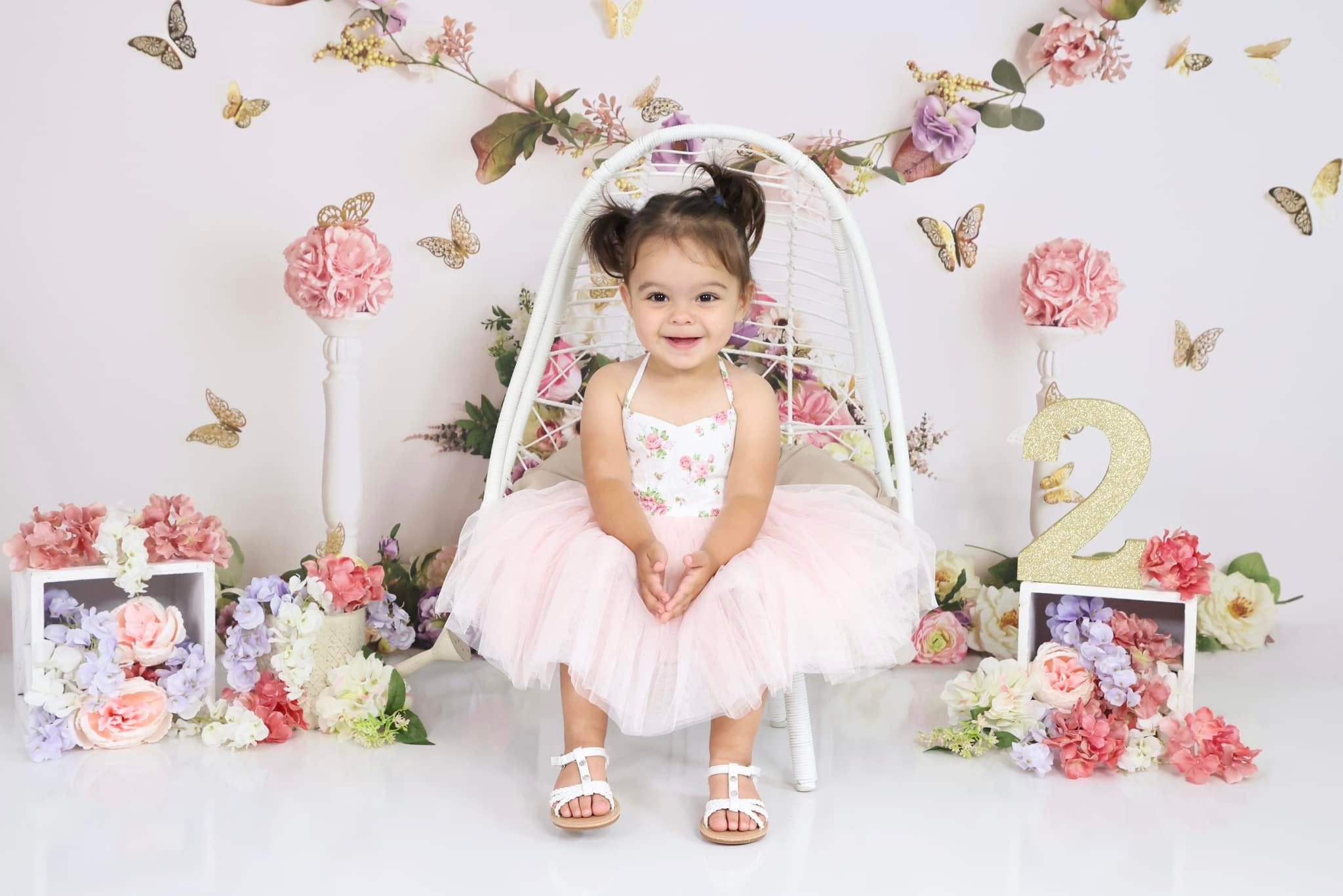 Kate Jardin Papillons Anniversaire Toile de fond conçue par Mandy Ringe - Kate Backdrop FR