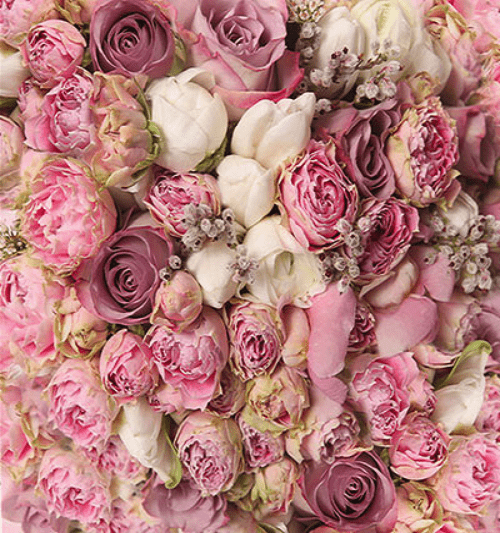 Katebackdrop:Kate Pink White Florals For Wedding Photo Studio Valentine's Day Backdrops