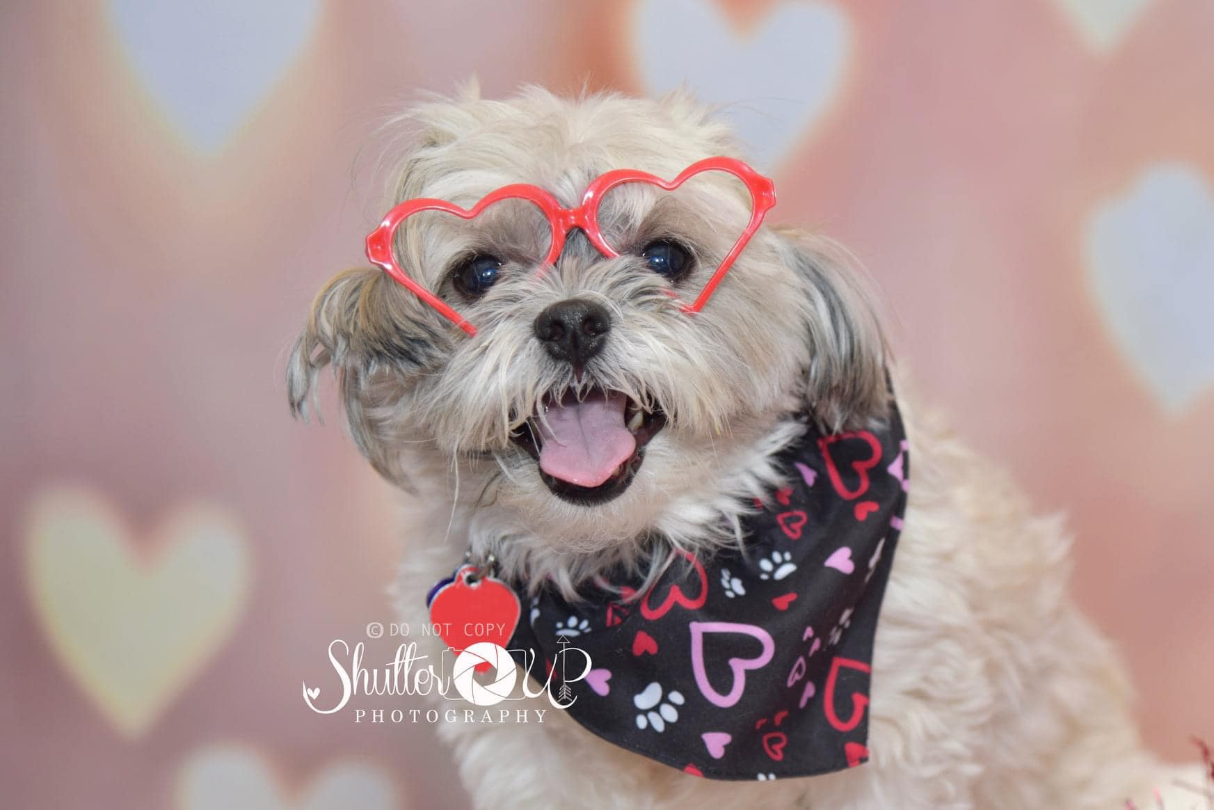 Kate Décors Bokeh Amour Jaune Saint-Valentin Toile de fond pour la photographie - Kate Backdrop FR