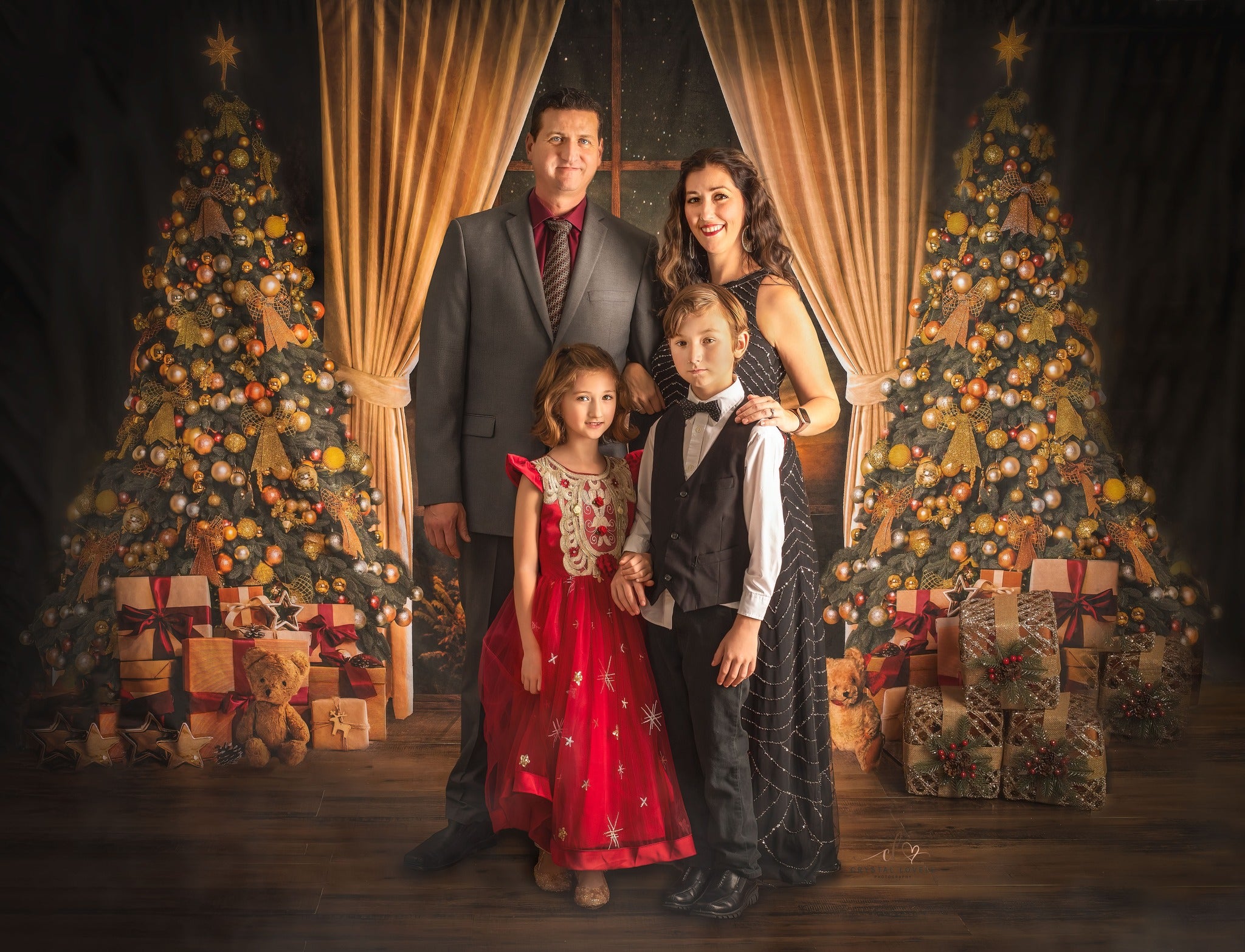 Kate Fenêtre Arbres de Noël Chaud Toile de fond pour la photographie - Kate Backdrop FR