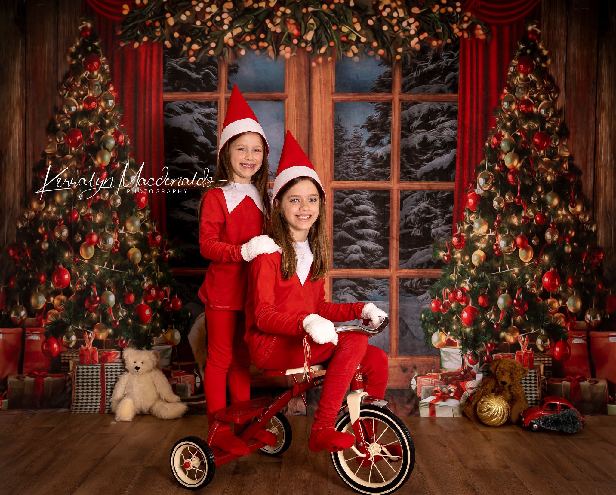 Kate Arbres Fenêtre Noël Toile de fond pour la photographie - Kate Backdrop FR