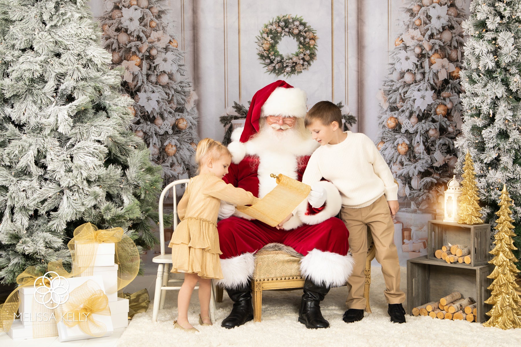 Kate Noël Vintage Mur Arbres Cheminée Toile de Fond pour la photographie - Kate Backdrop FR