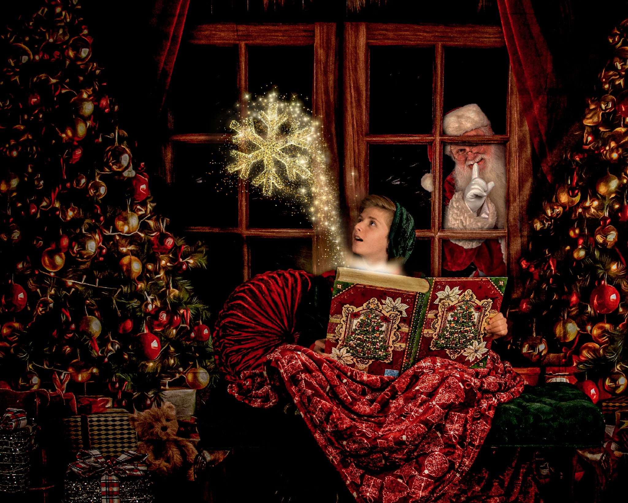 Kate Arbres Fenêtre Noël Toile de fond pour la photographie - Kate Backdrop FR