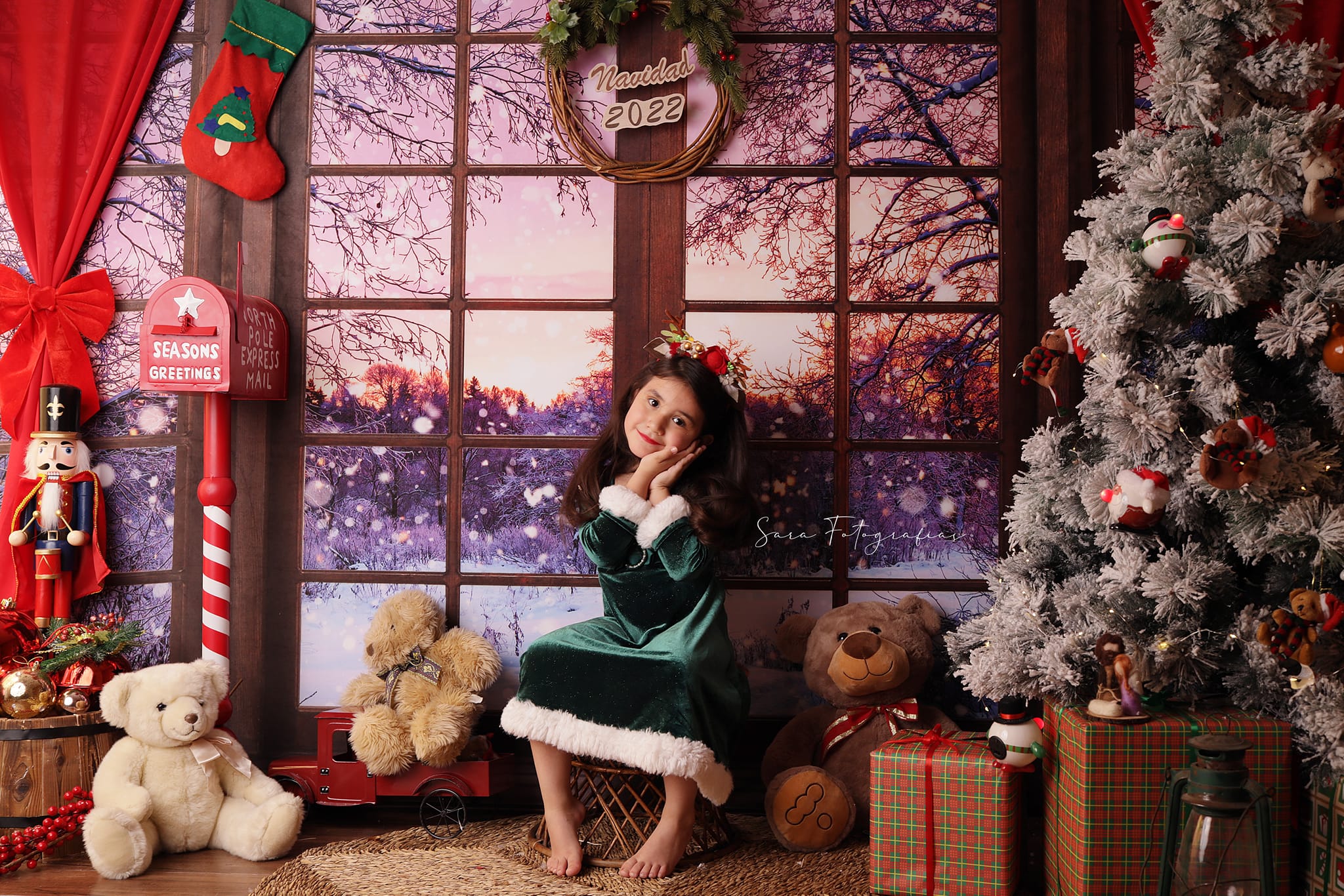 Kate Porte-Fenêtre Nuit Noël Hiver Toile de fond conçue par Chain Photography - Kate Backdrop FR