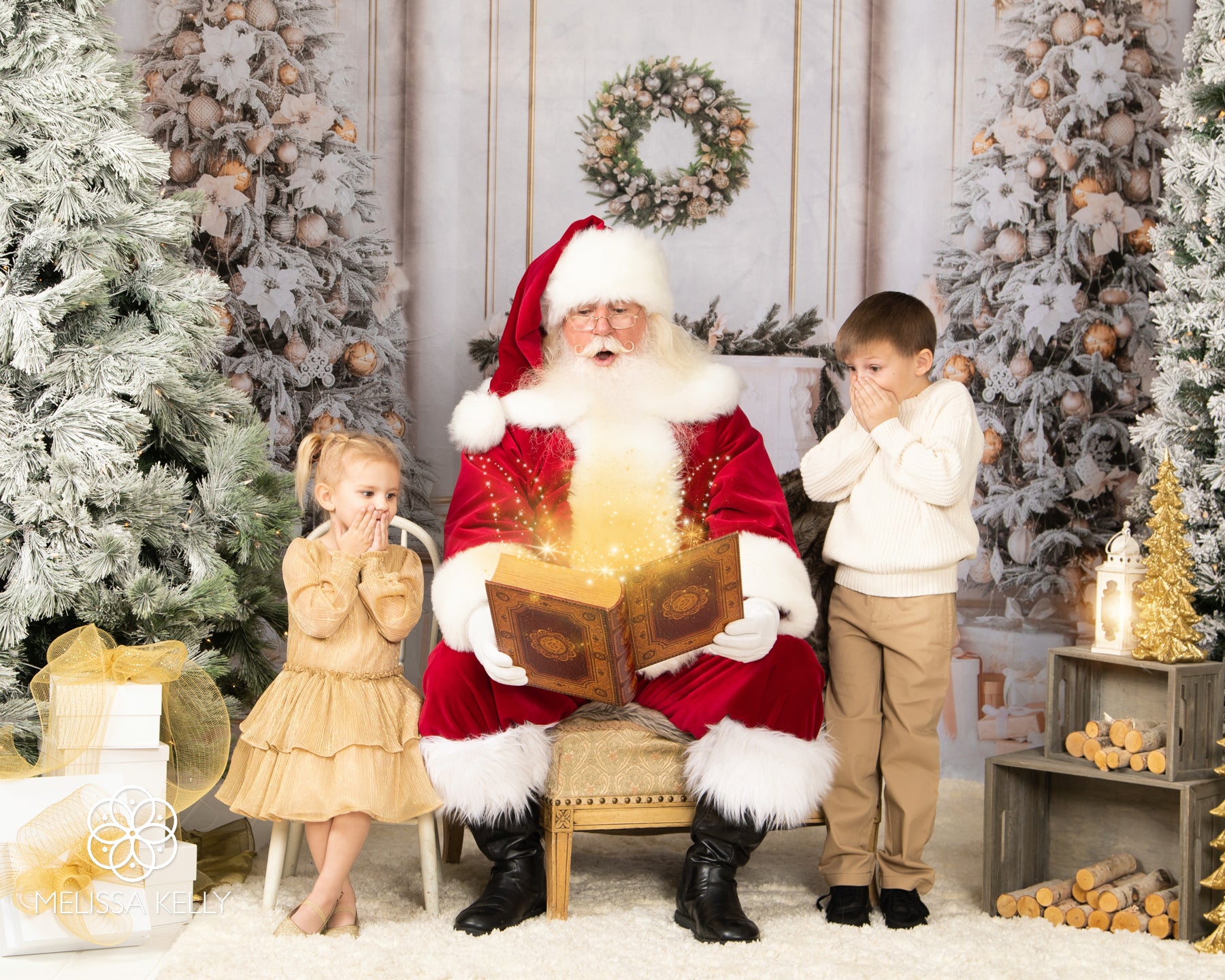 Kate Noël Vintage Mur Arbres Cheminée Toile de Fond pour la photographie - Kate Backdrop FR