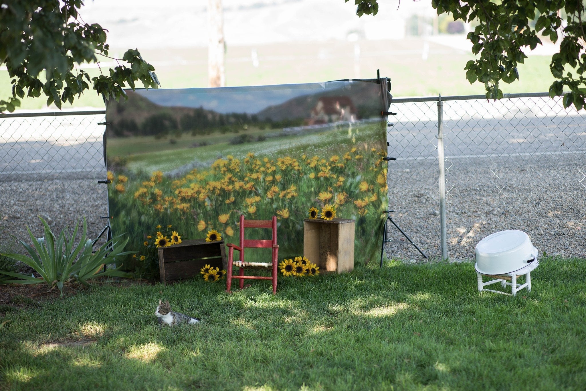 Kate Été Prairie Montagne Tournesol Toile de fond conçue par Lisa Granden - Kate Backdrop FR