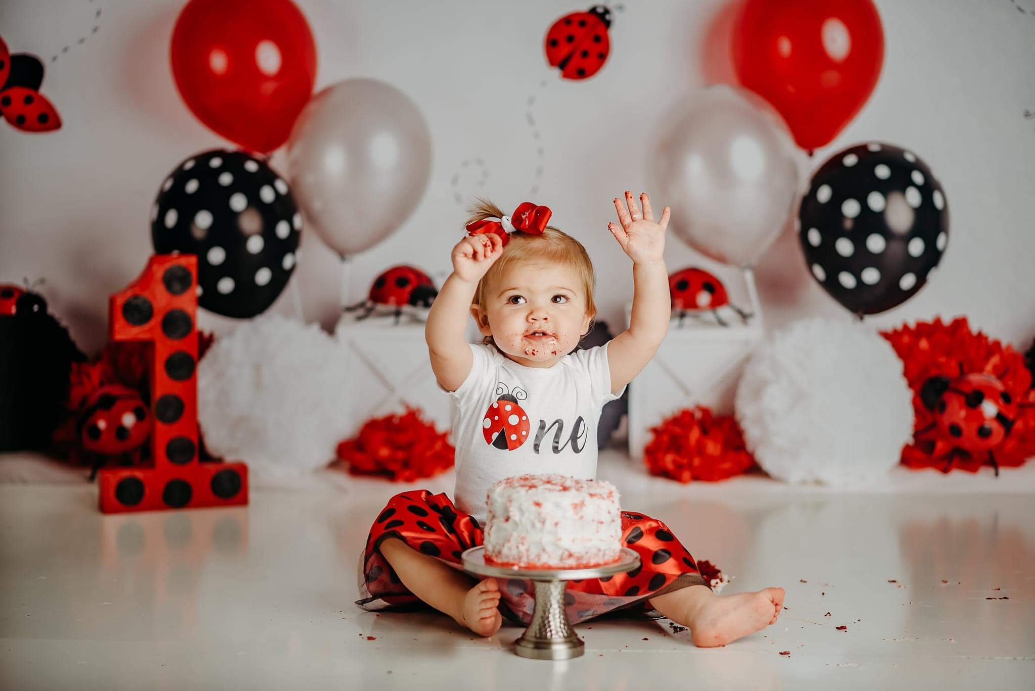 Kate Petite Coccinelle Anniversaire Enfant Toile de fond conçue par Mandy Ringe - Kate Backdrop FR