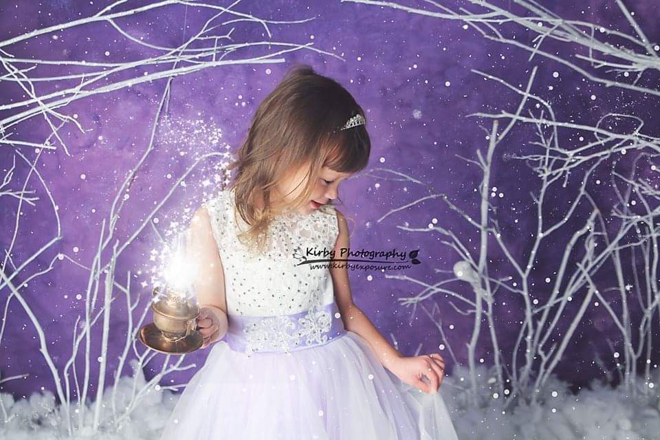 Katebackdrop£ºKate Purple Winter Wonderland Snowy Backdrop Designed By Arica Kirby