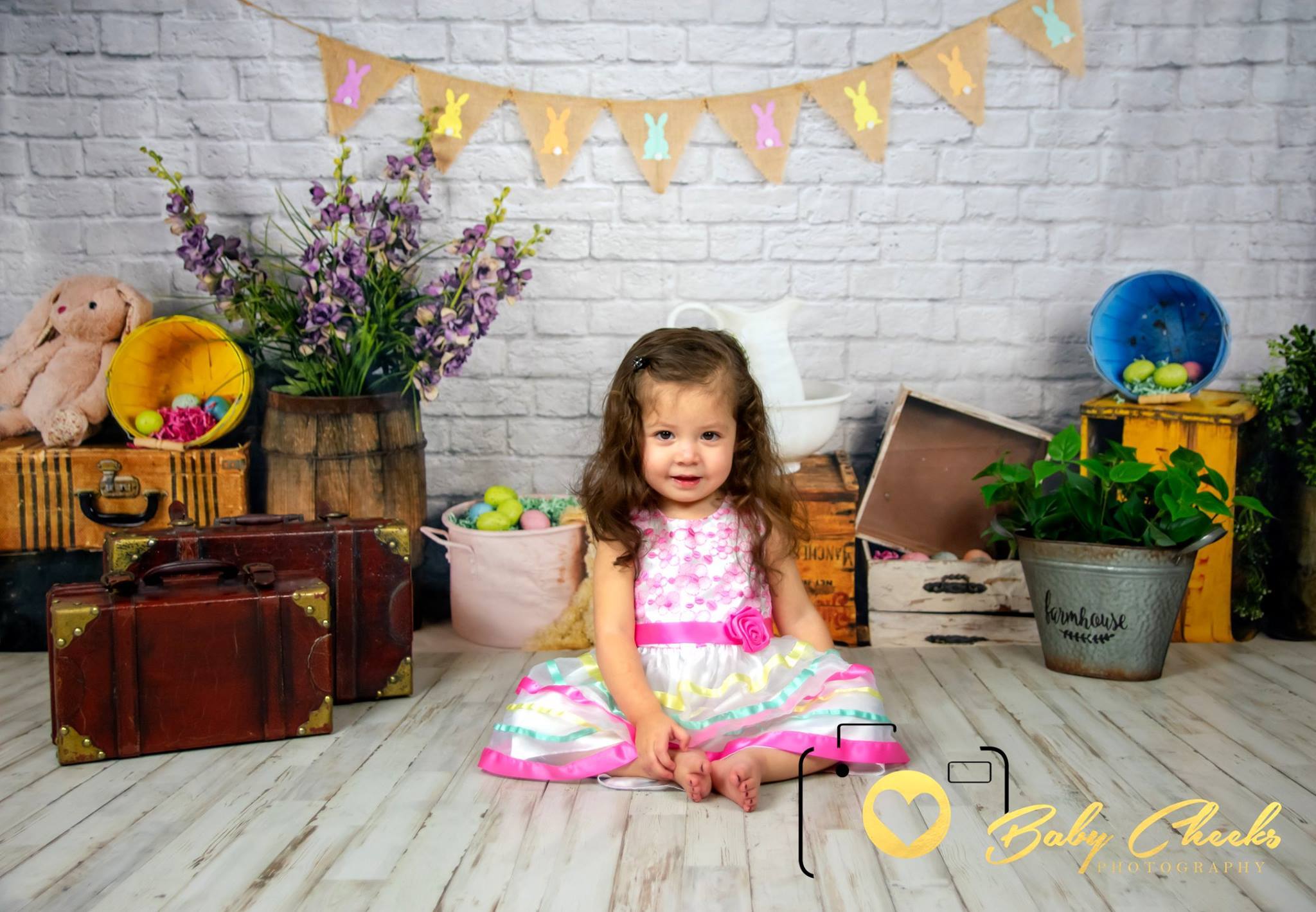 Katebackdrop£ºKate Hoppy Easter Backdrop designed by Arica Kirby