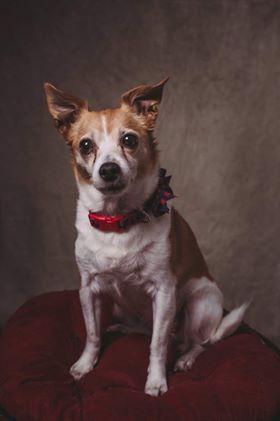 Katebackdrop:Kate Fine Art Sand Storm Abstract Backdrop for Photography Designed by Veronika Gant