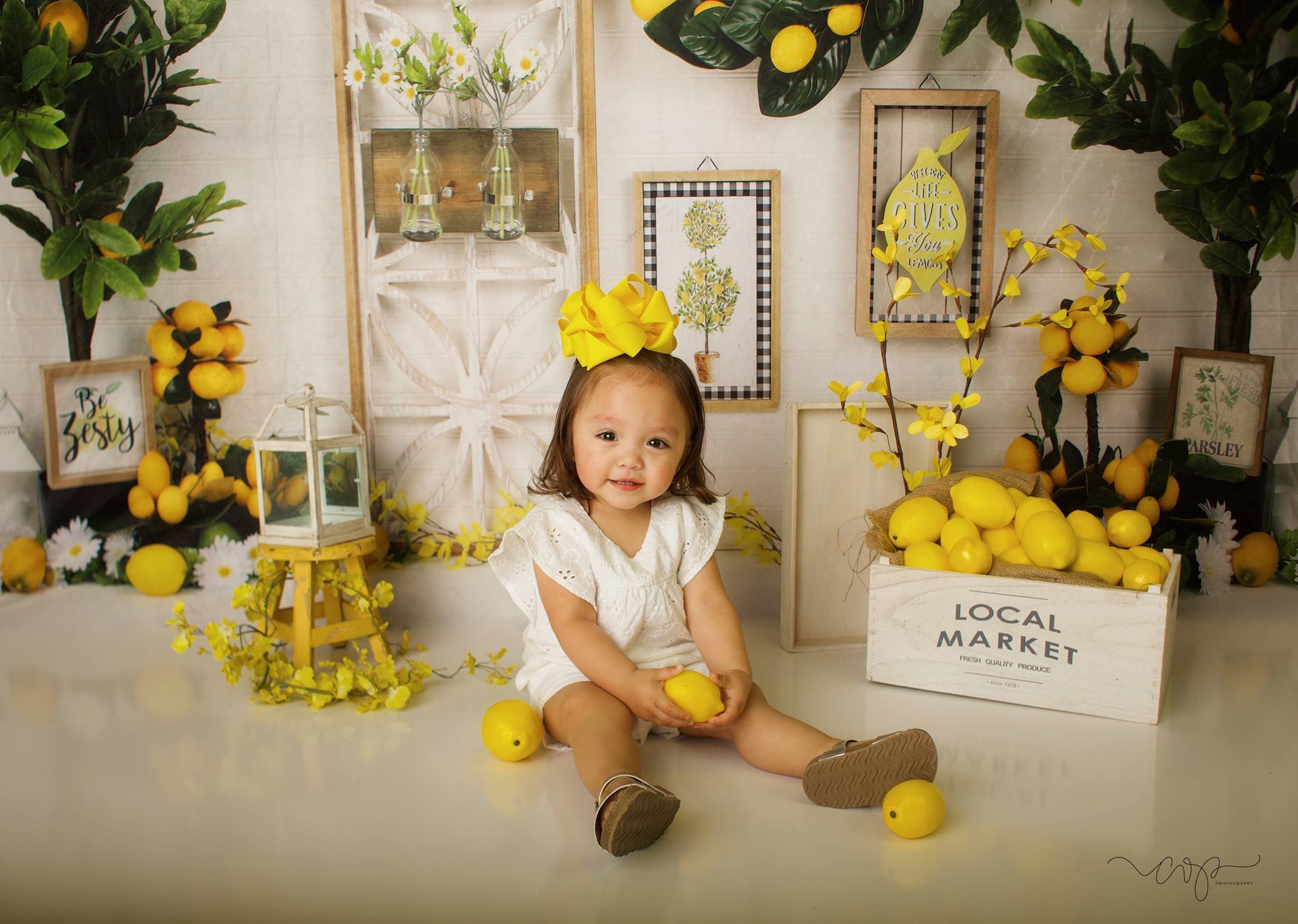 Katebackdrop£ºKate Lemon Be Zesty Spring Backdrop for Photography
