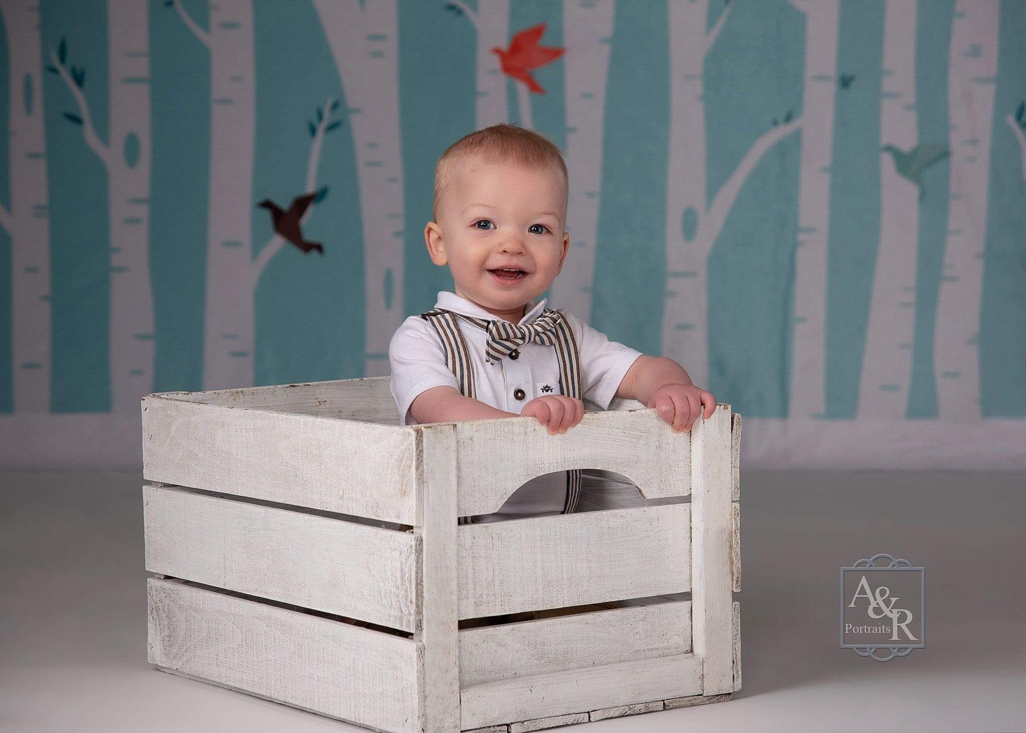 Katebackdrop£ºKate Origami Birds in Birch Forest Backdrop for Photography Designed by Amanda Moffatt