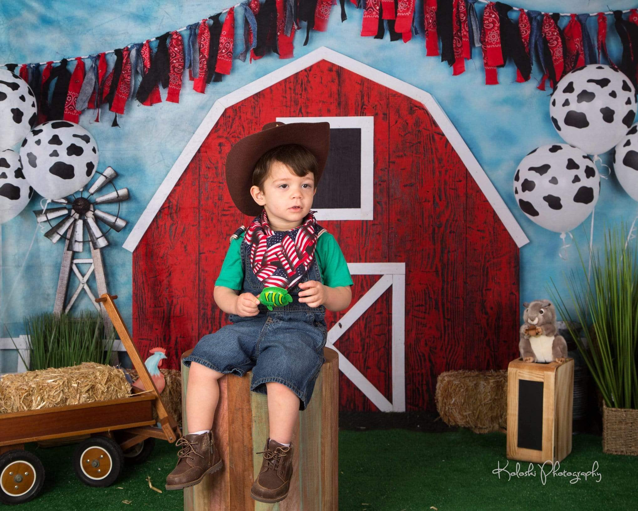 Katebackdrop£ºKate Barnyard Fun Balloons Children Backdrops Designed by Arica Kirby