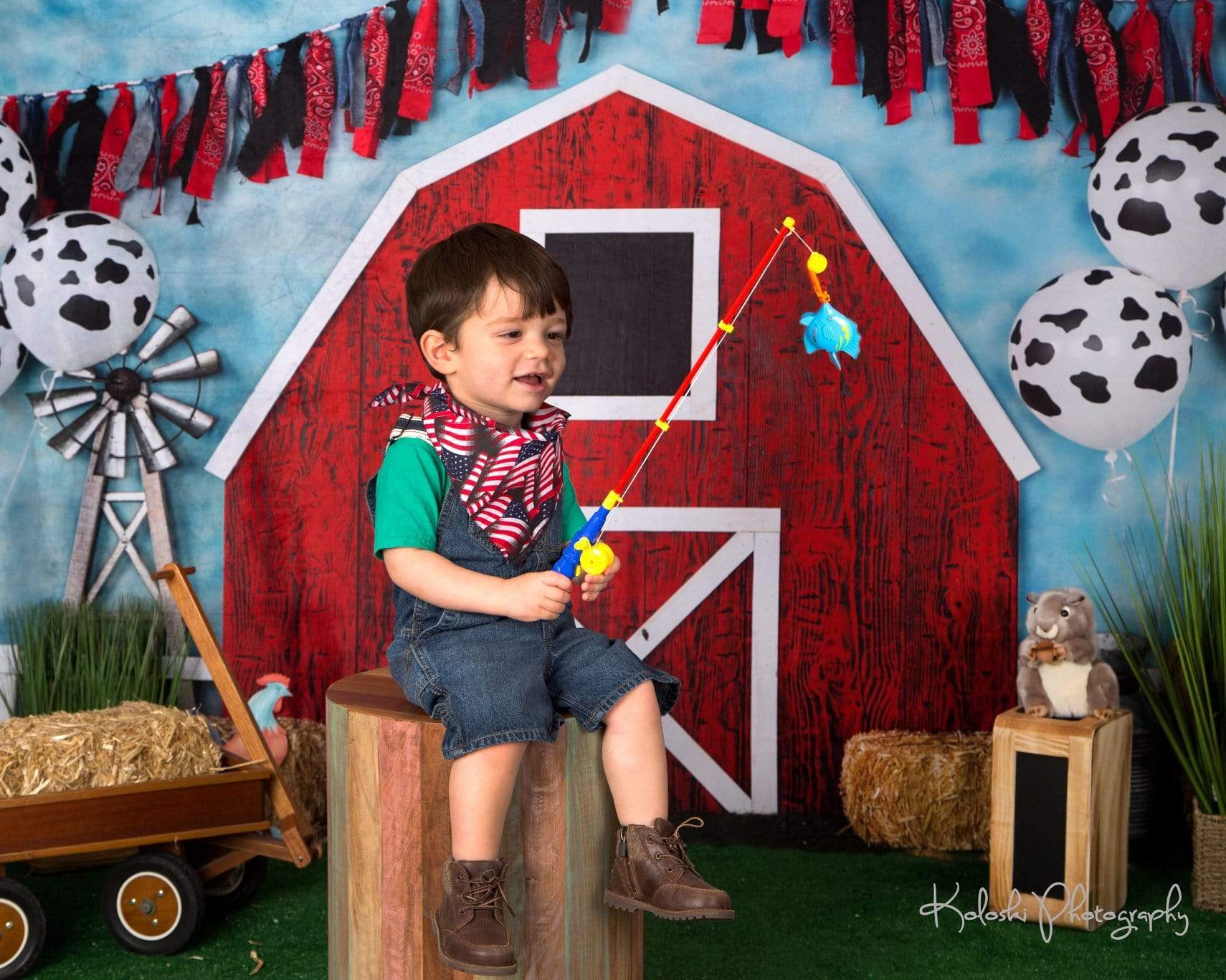 Katebackdrop£ºKate Barnyard Fun Balloons Children Backdrops Designed by Arica Kirby
