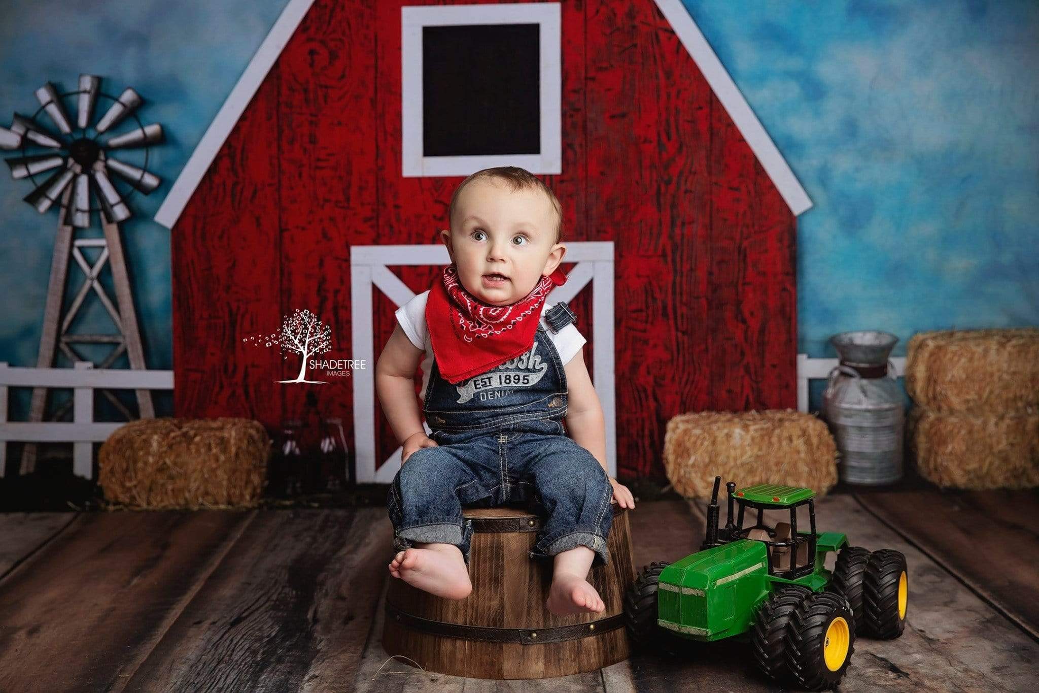 Katebackdrop£ºKate Barnyard Fun Children Summer Backdrops Designed by Arica Kirby