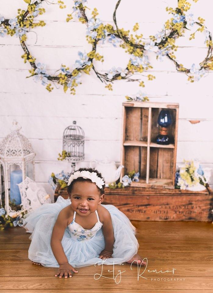 Katebackdrop£ºKate Enchanted Blue Floral Wreaths Backdrops Designed by Arica Kirby