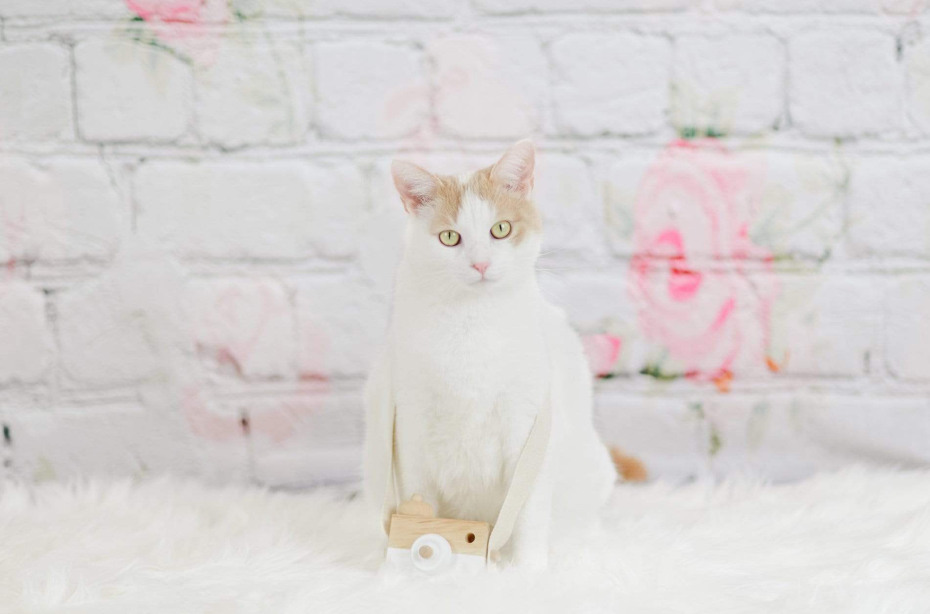 Katebackdrop鎷㈡綖Kate Valentine Flower Brick Backdrop for Photography