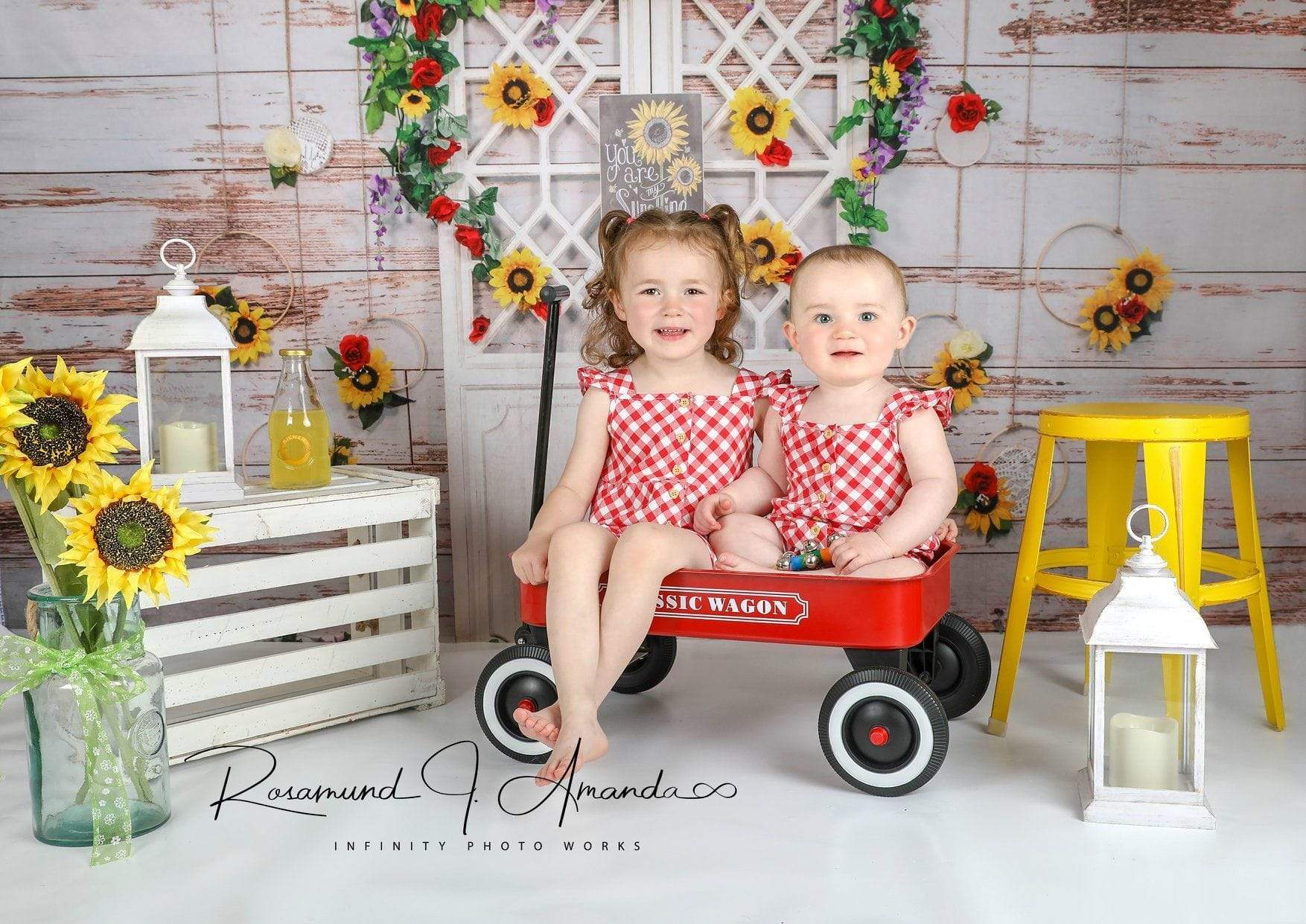 Katebackdrop£ºKate You Are My Sunshine Vintage Wall Summer Sunflower Mother's Day Backdrop Designed by Stacilynnphotography