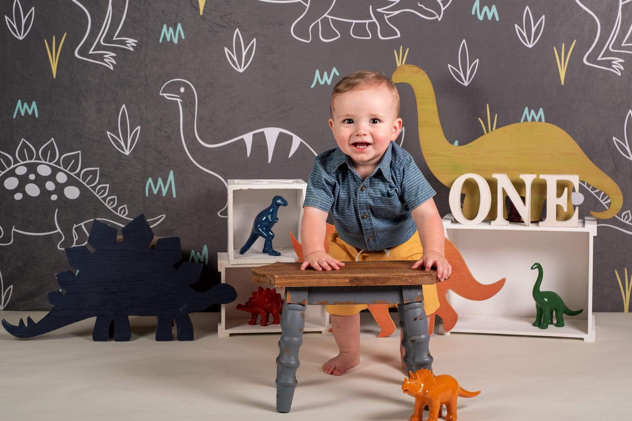 Katebackdrop£ºKate Dinosaur Park Children Backdrop for Photography Designed by Amanda Moffatt