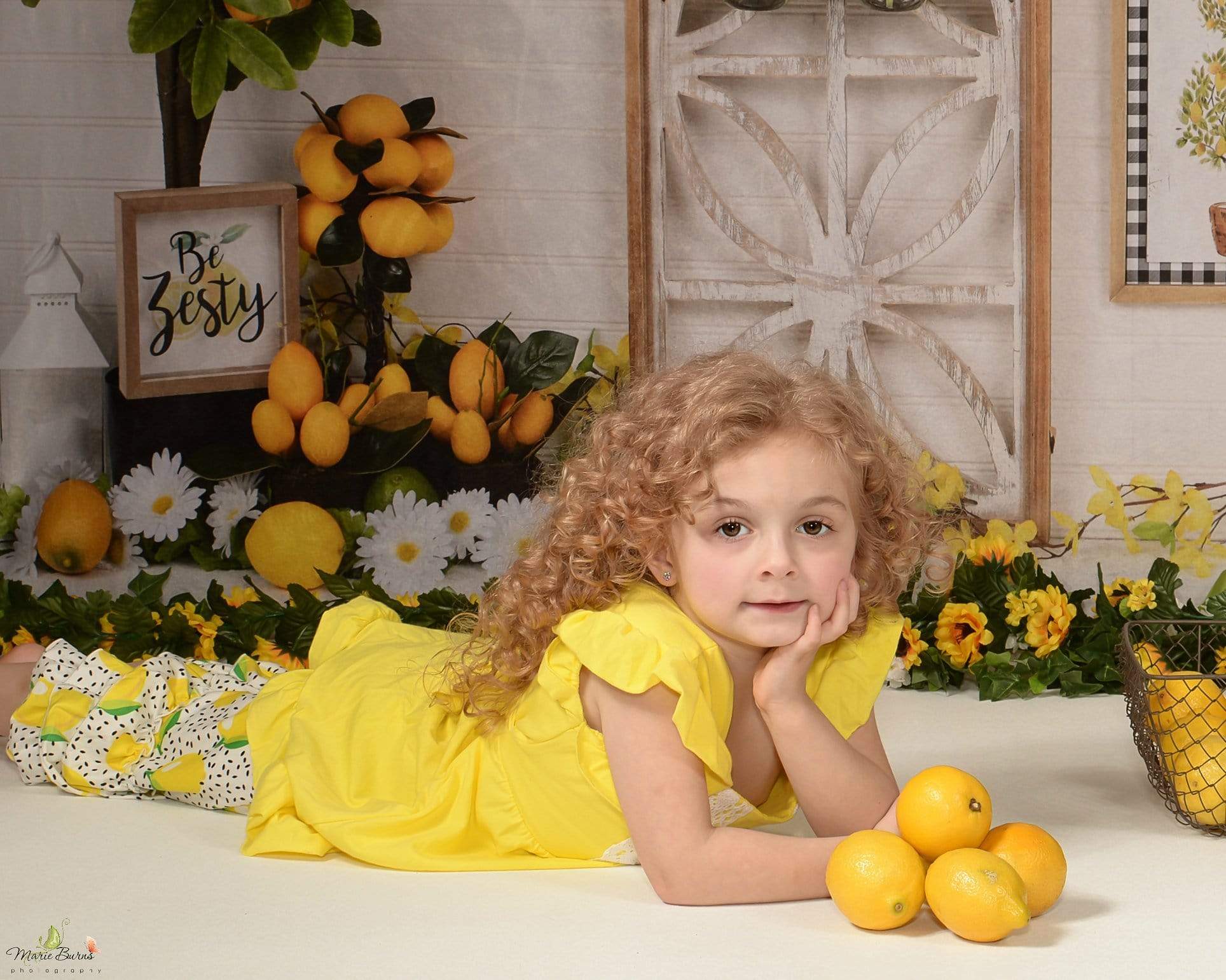Katebackdrop£ºKate Lemon Be Zesty Spring Backdrop for Photography