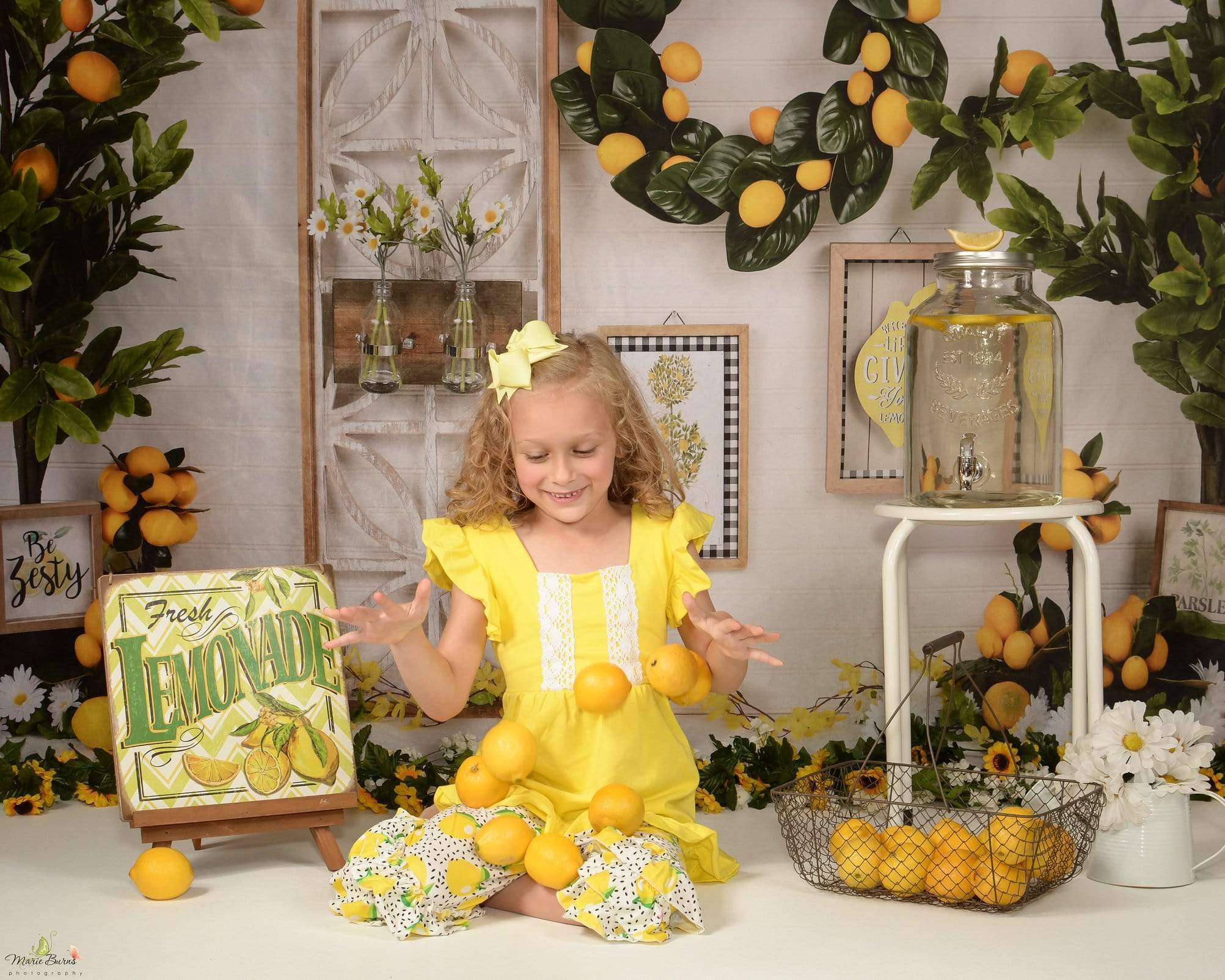 Katebackdrop£ºKate Lemon Be Zesty Spring Backdrop for Photography