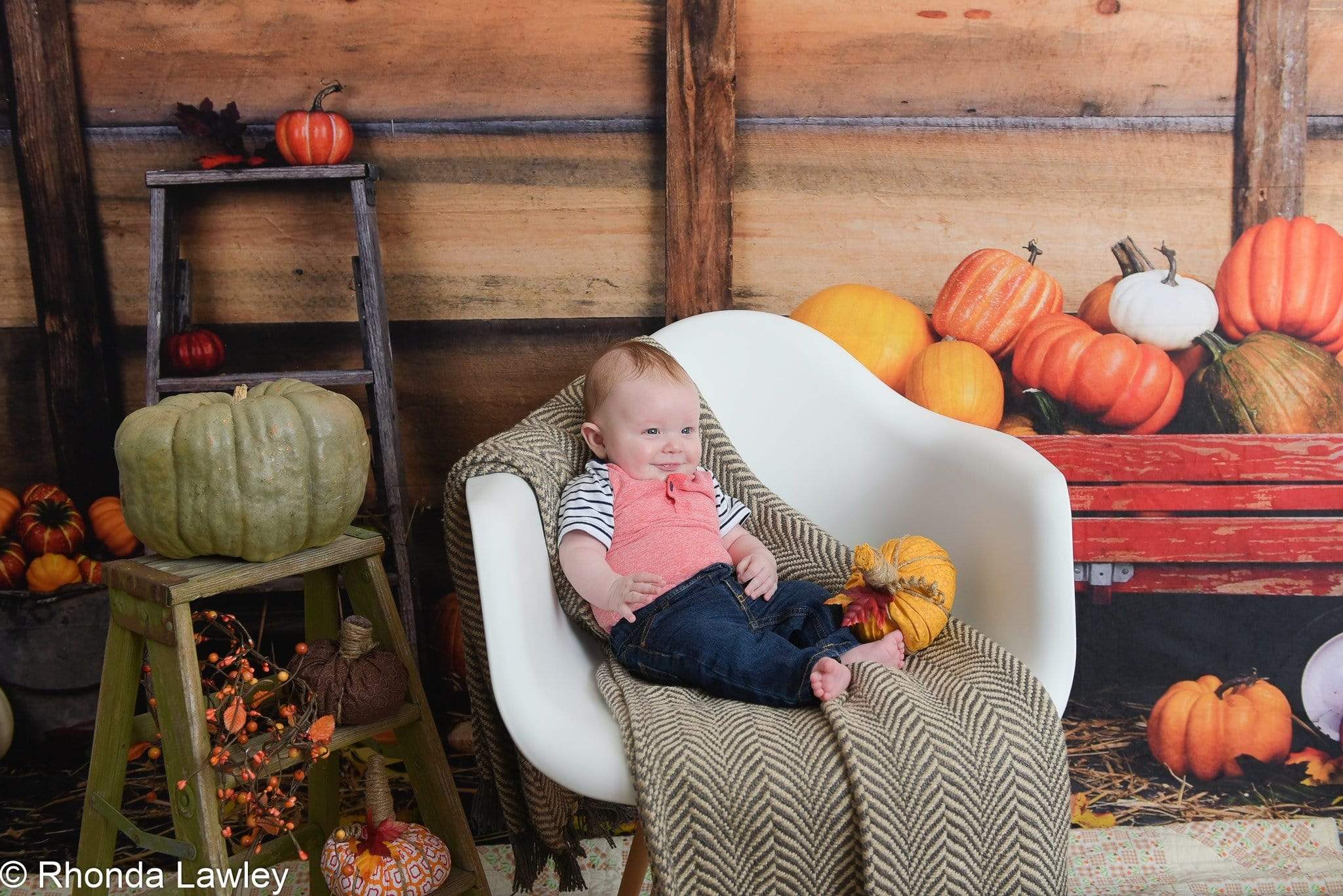 Katebackdrop£ºKate Pumpkin Harvest Backdrop Autumn and Halloween designed by Arica Kirby
