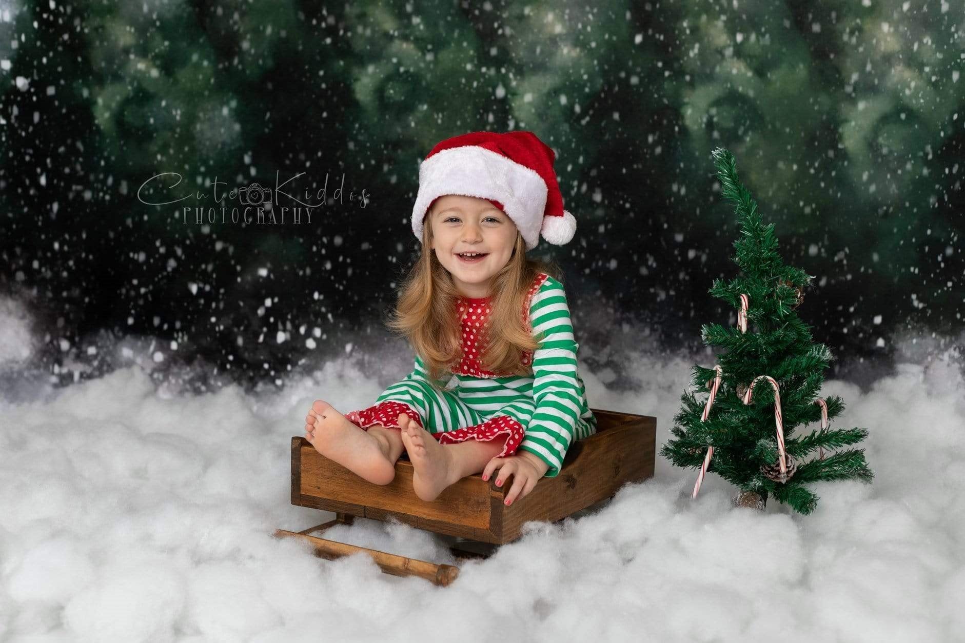 Kate Forêt enneigée Hiver Superbe Vert Toile de fond conçue par Modest Brushes - Kate Backdrop FR