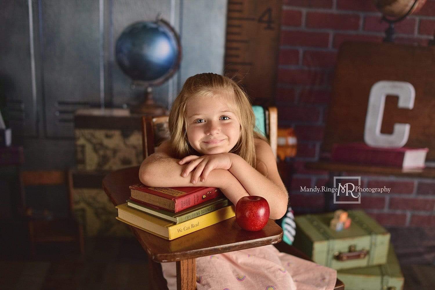 Katebackdrop£ºKate Back to School Backdrop for Photography Designed By Erin Larkins