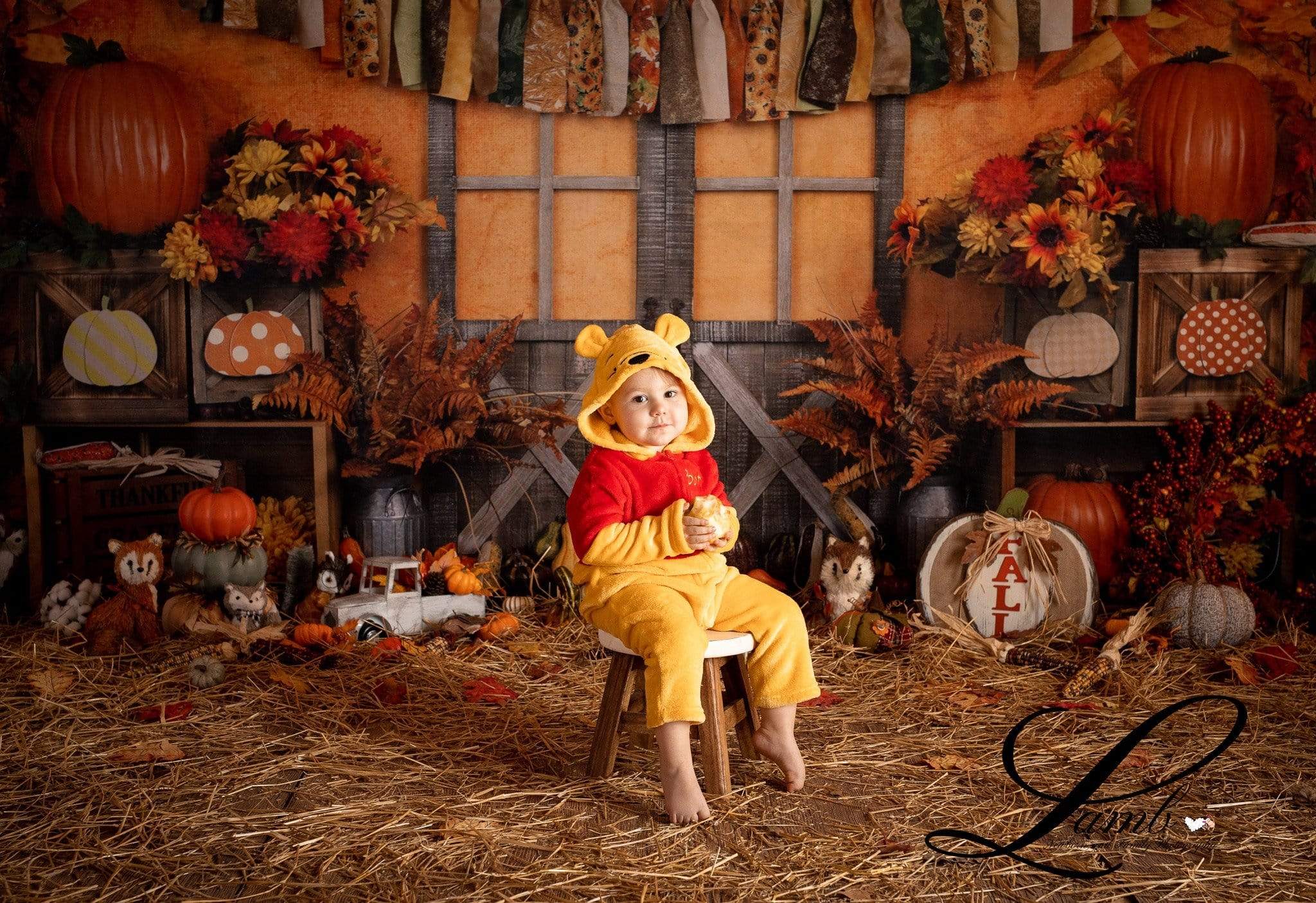 Katebackdrop£ºKate Autumn Harvest Thanksgiving Backdrop for Photography