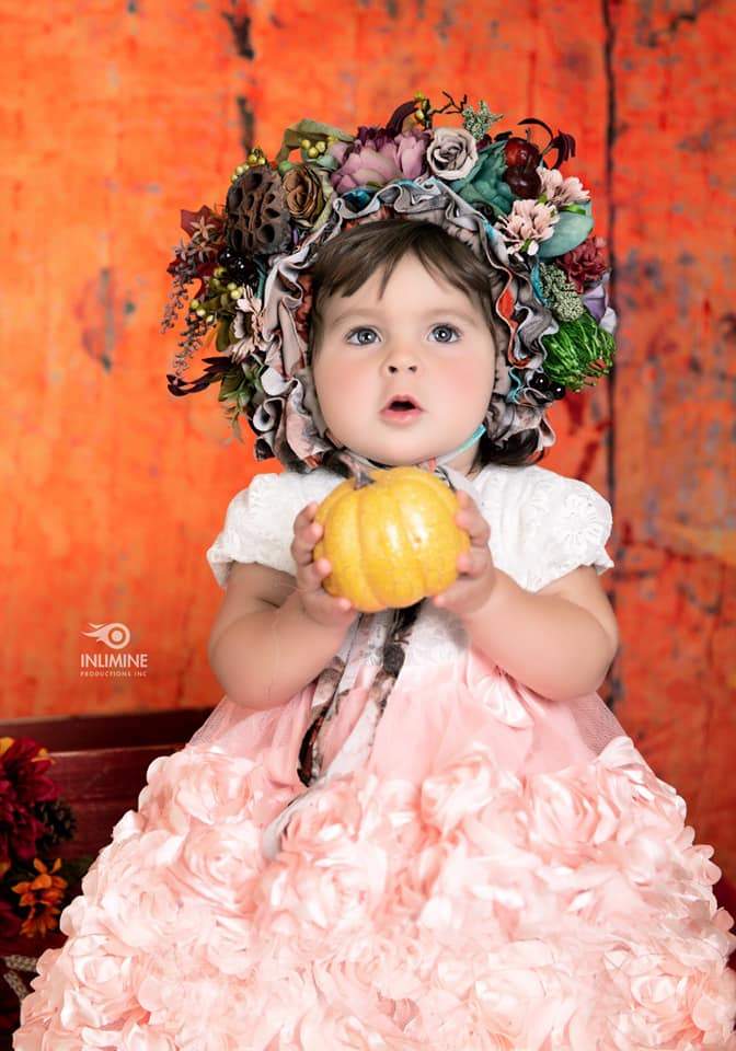 Katebackdrop£ºKate Autumn Maple Leaf Wooden Backdrops for Photography