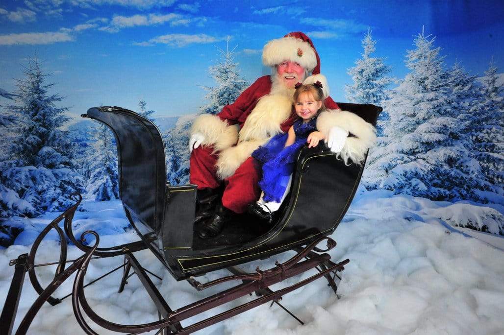 Kate Hiver Neige Blanc Pins Toile de fond pour la photographie - Kate Backdrop FR