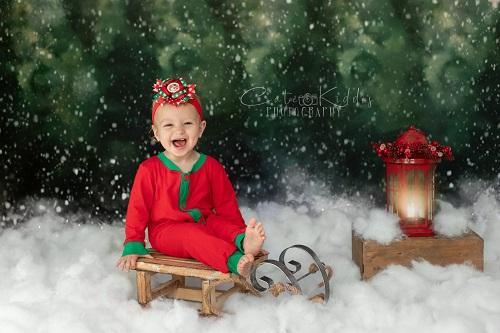 Kate Forêt enneigée Hiver Superbe Vert Toile de fond conçue par Modest Brushes - Kate Backdrop FR