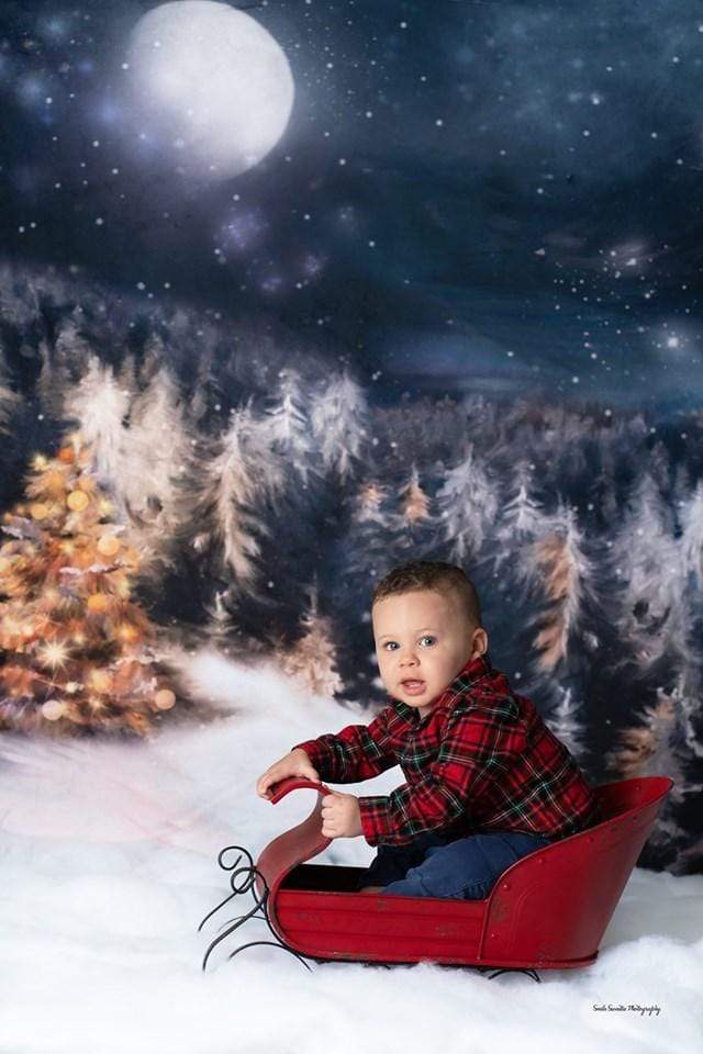 Katebackdrop£ºKate Winter Dream Christmas Night Trees Backdrop for Photography Designed By Jerry_Sina