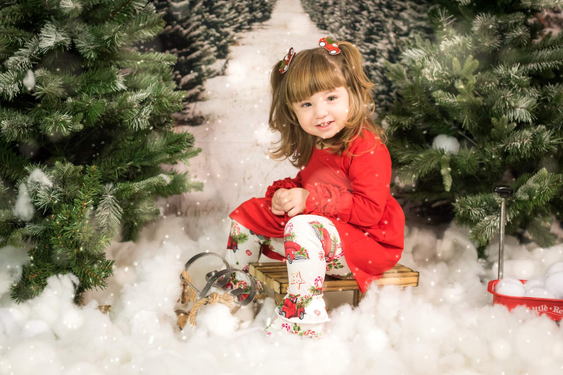 Katebackdrop£ºKate Christmas Pines Tree Farm Path Backdrop for Photography