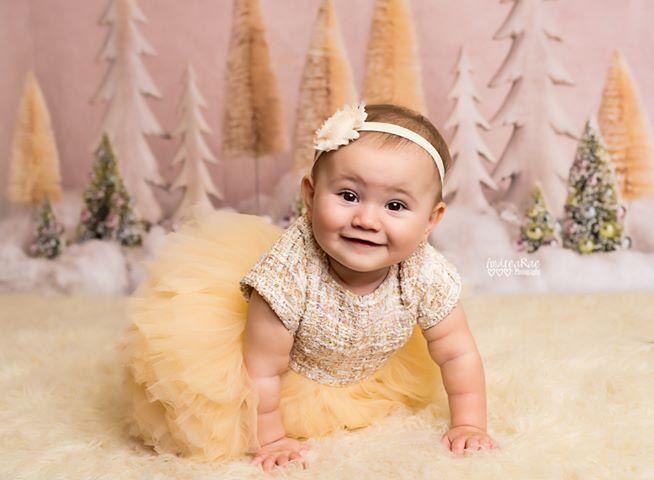 Kate Arbres de Noël Élégant Paillettes Toile de fond conçue par Mandy Ringe Photography - Kate Backdrop FR