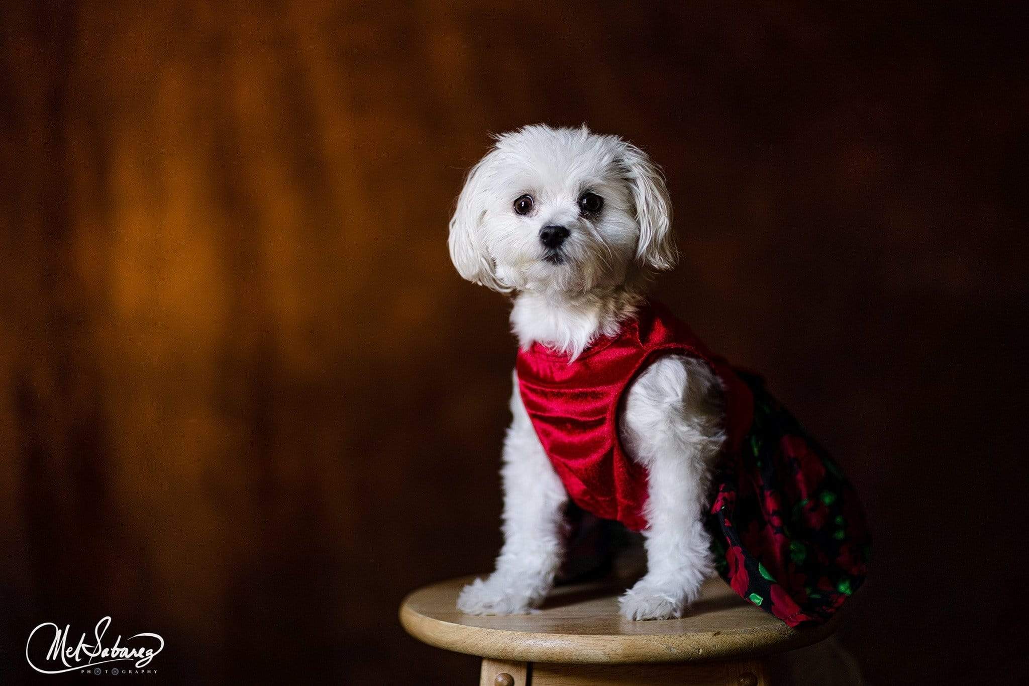 Katebackdrop£ºKate Abstract Dark Brown Black Textured Backdrop for Photography