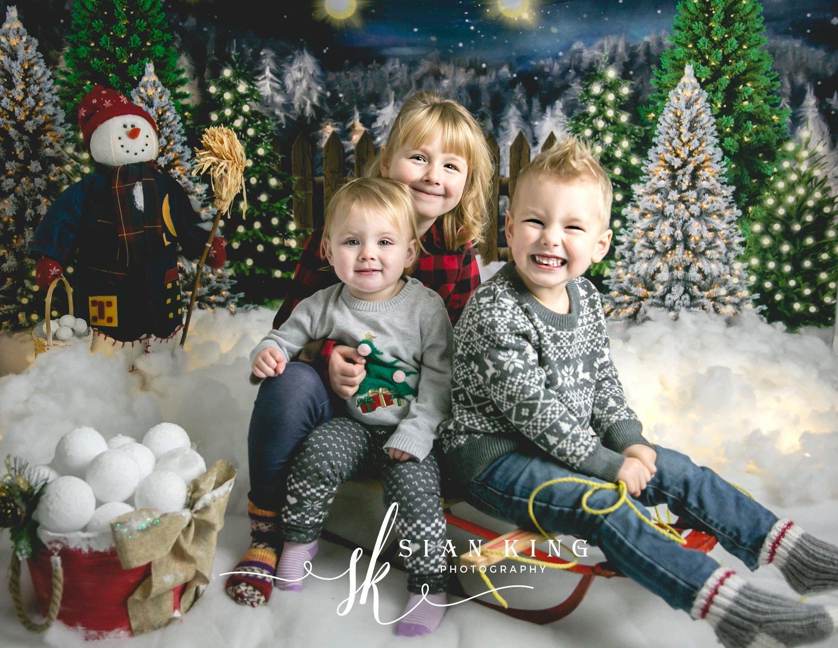 Katebackdrop£ºKate Christmas Night Pine Trees Farm Backdrop Designed By Jerry_Sina