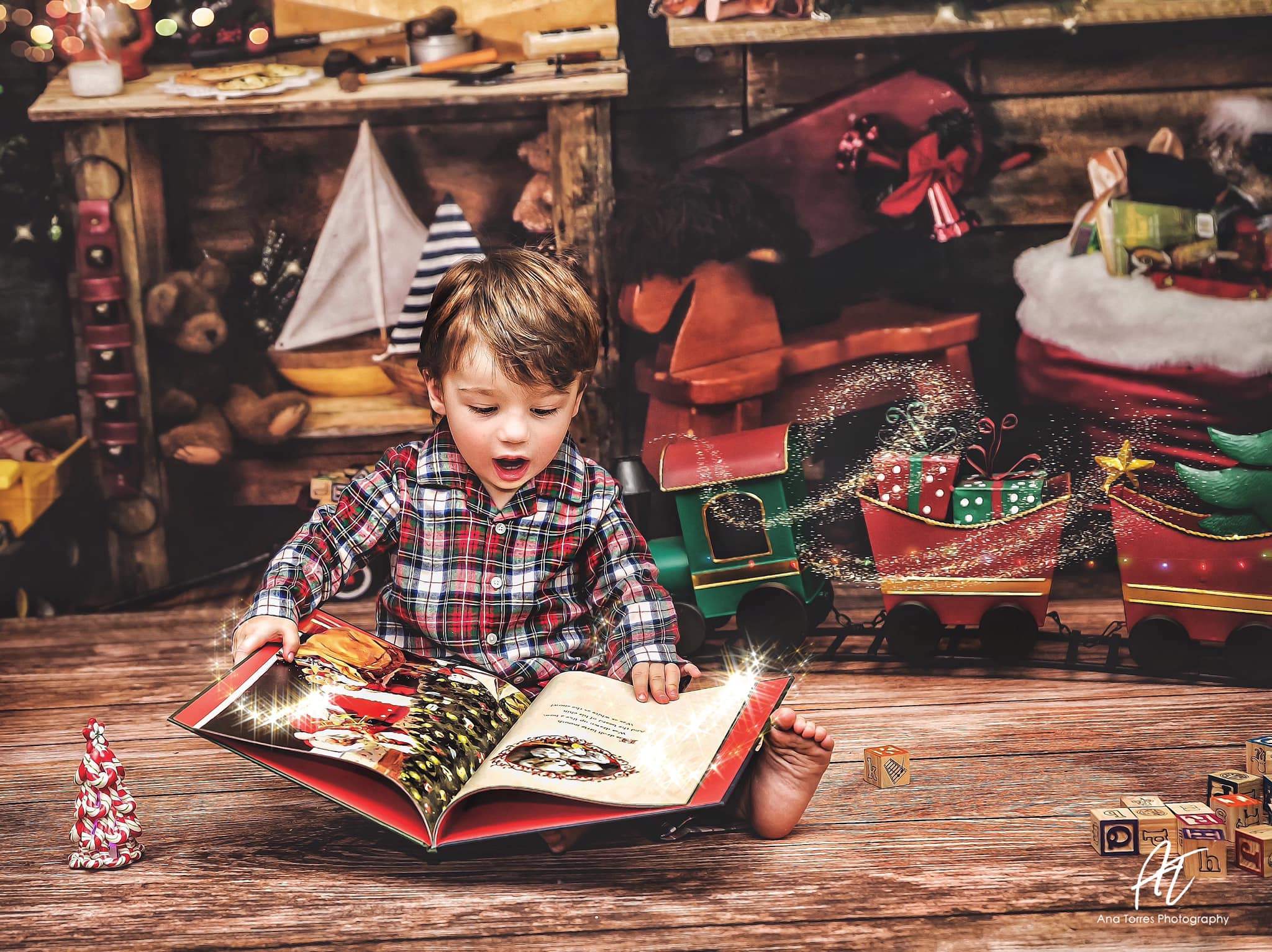 Katebackdrop£ºKate Christmas Santas Workshop Backdrop designed by Arica Kirby