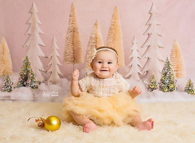 Kate Arbres de Noël Élégant Paillettes Toile de fond conçue par Mandy Ringe Photography - Kate Backdrop FR