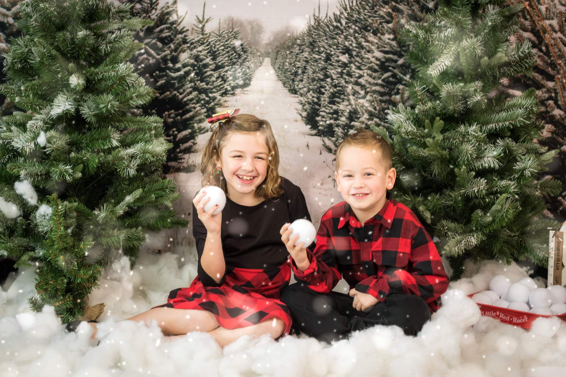 Katebackdrop£ºKate Christmas Pines Tree Farm Path Backdrop for Photography