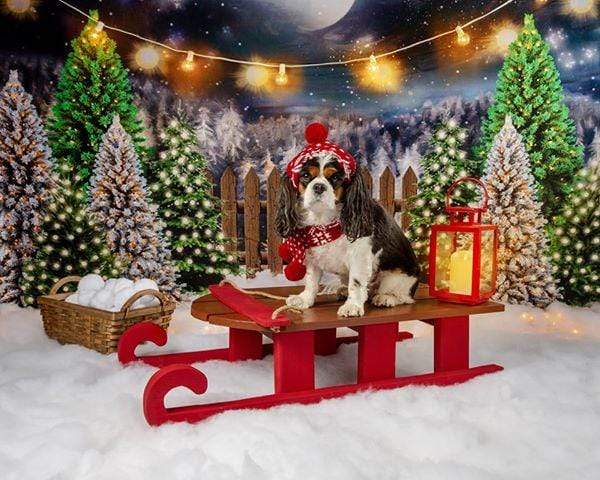 Katebackdrop£ºKate Christmas Night Pine Trees Farm Backdrop Designed By Jerry_Sina