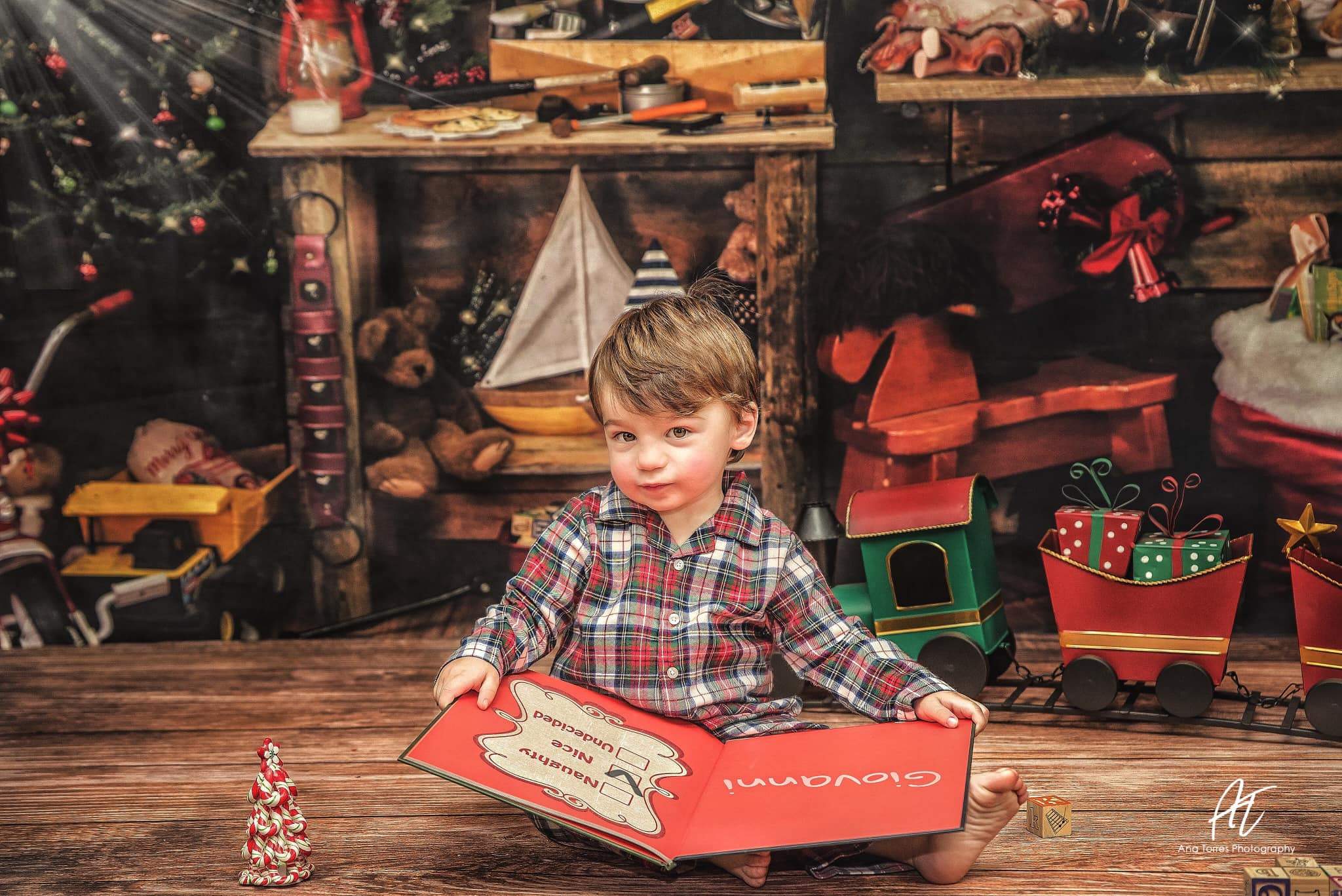 Katebackdrop£ºKate Christmas Santas Workshop Backdrop designed by Arica Kirby