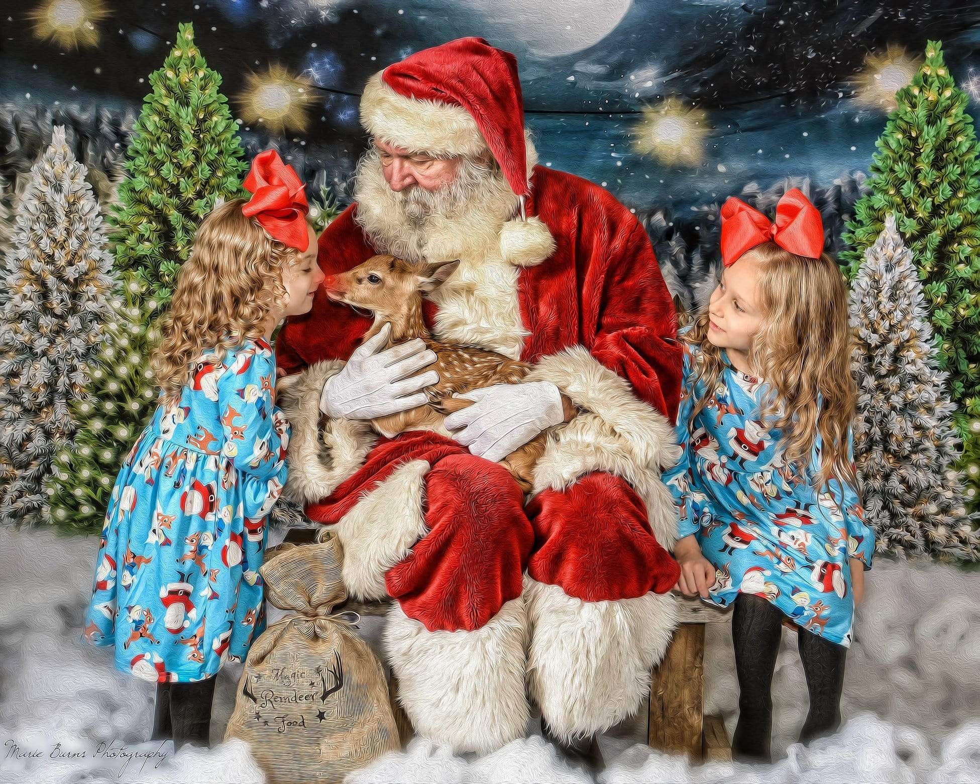 Katebackdrop£ºKate Christmas Night Pine Trees Farm Backdrop Designed By Jerry_Sina