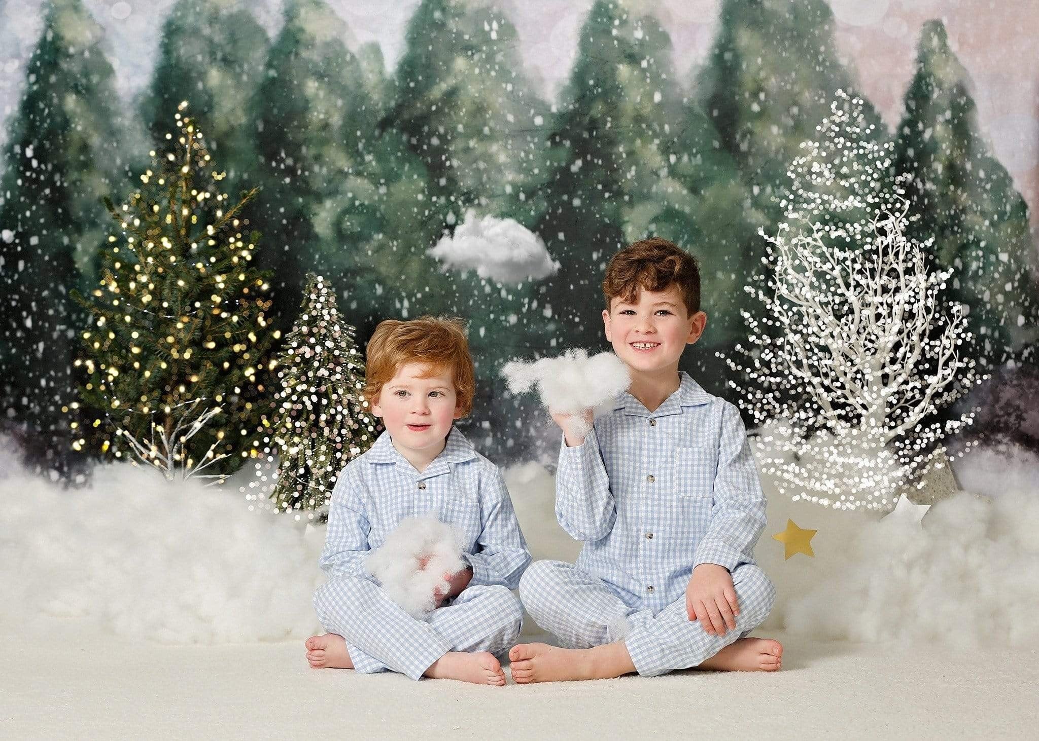 Kate Forêt enneigée Hiver Superbe Vert Toile de fond conçue par Modest Brushes - Kate Backdrop FR