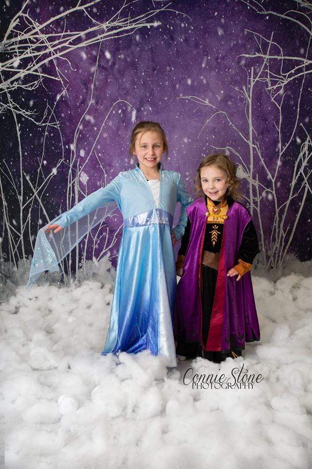 Katebackdrop£ºKate Purple Winter Wonderland Snowy Backdrop Designed By Arica Kirby
