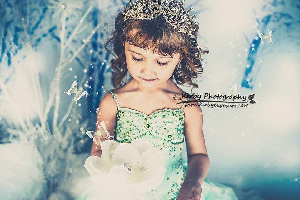 Katebackdrop£ºKate Winter Snow Plum Orchard Backdrop Designed By Arica Kirby