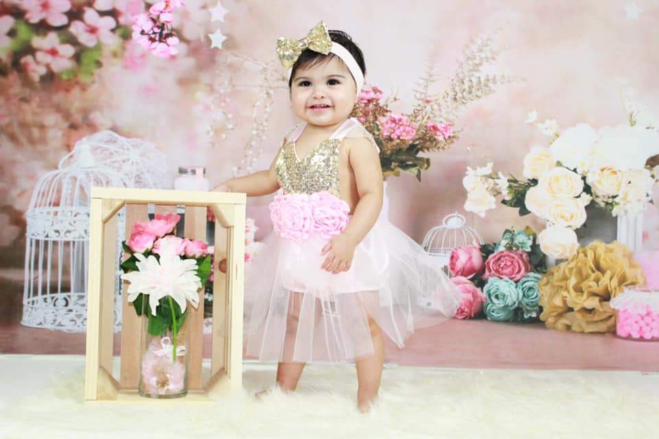 Kate Fleurs Rose Cage à oiseaux Cake smash Toile de fond conçue par Studio Gumot - Kate Backdrop FR