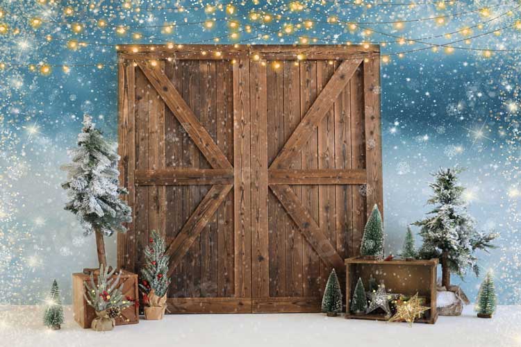Kate Neige Porte de grange Lumières Noël Toile de fond pour la photographie